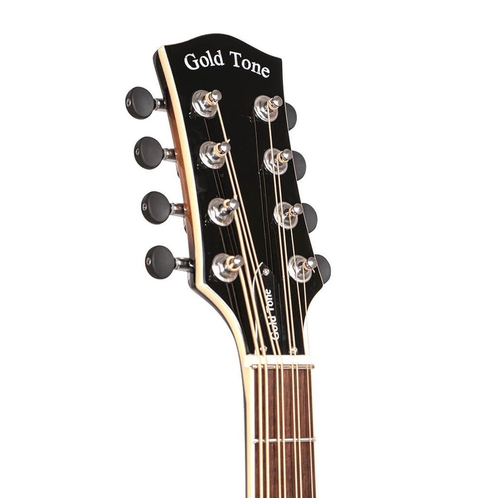 Mandocello with Pickup and Case Q261375