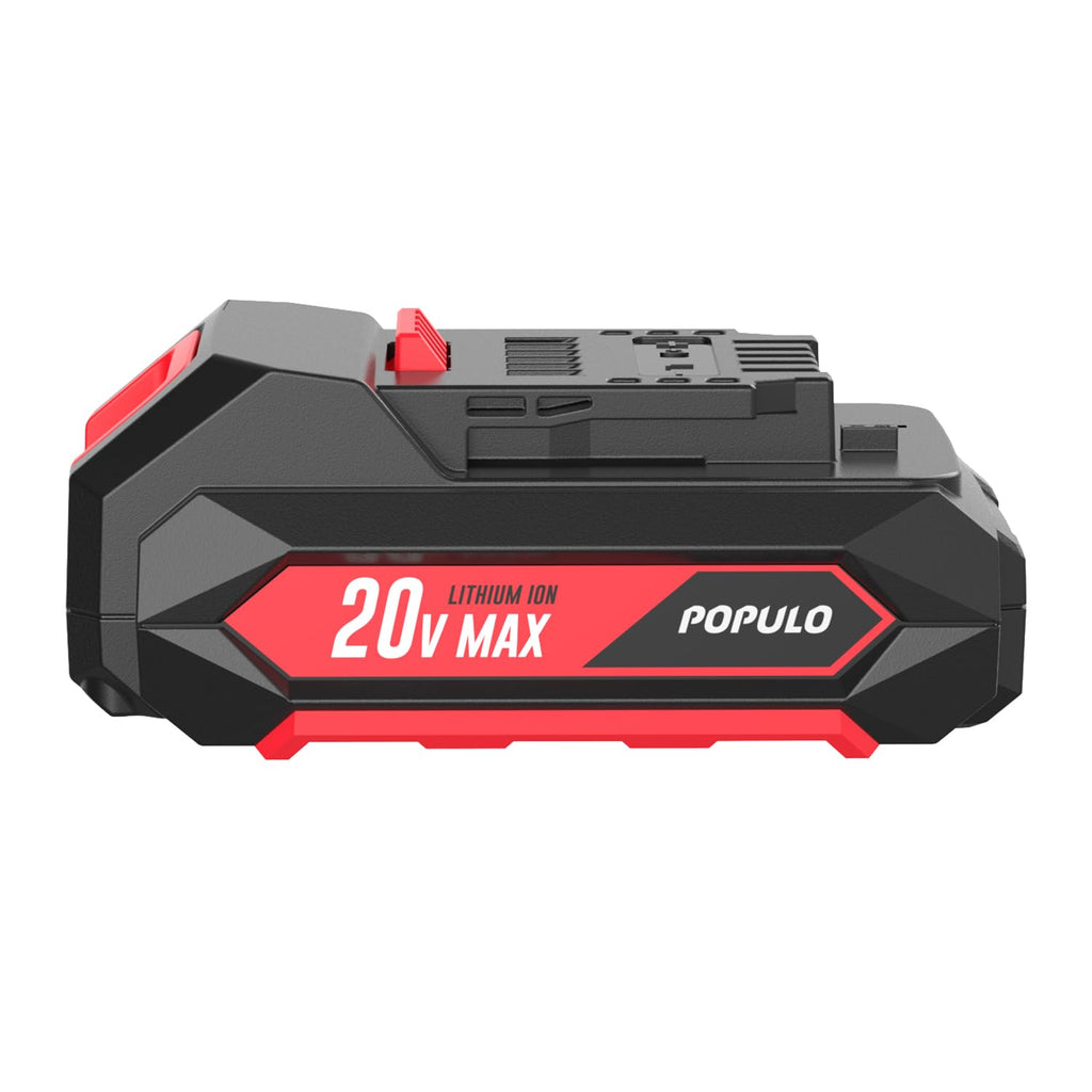 20V Max Lithium Ion 2.0Ah Battery Pack R427300