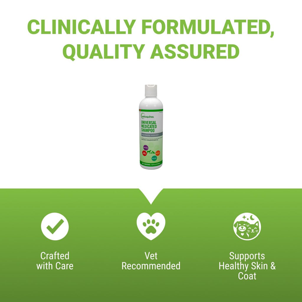 Medicated Sulfur Shampoo for Pets, 16 oz H669379