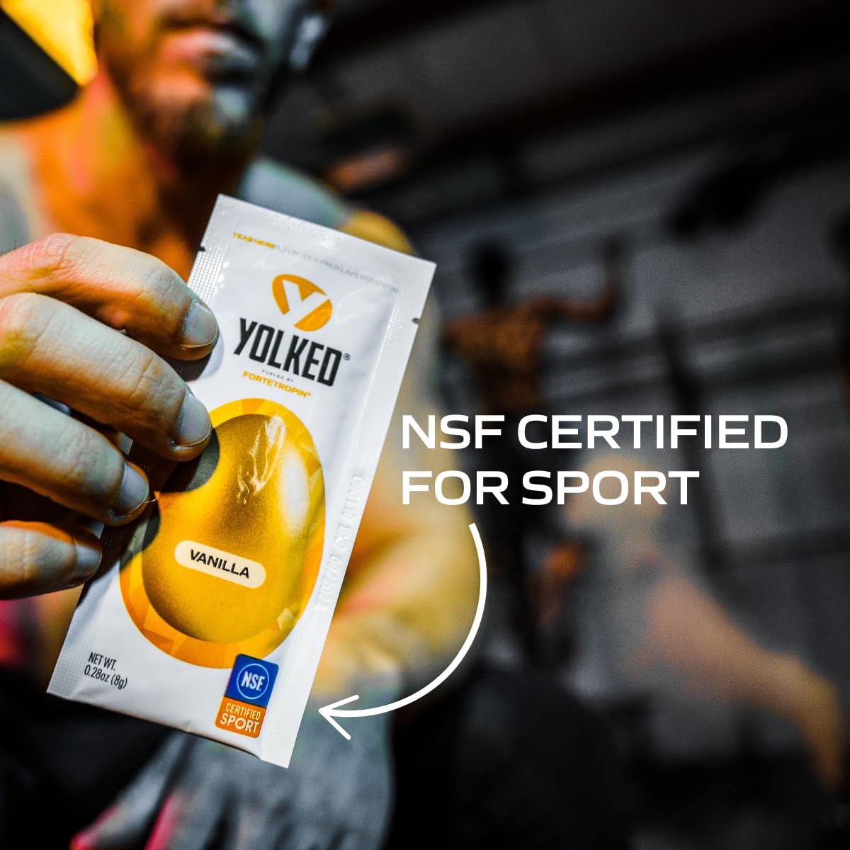 Muscle Building Supplement Powder Y433091