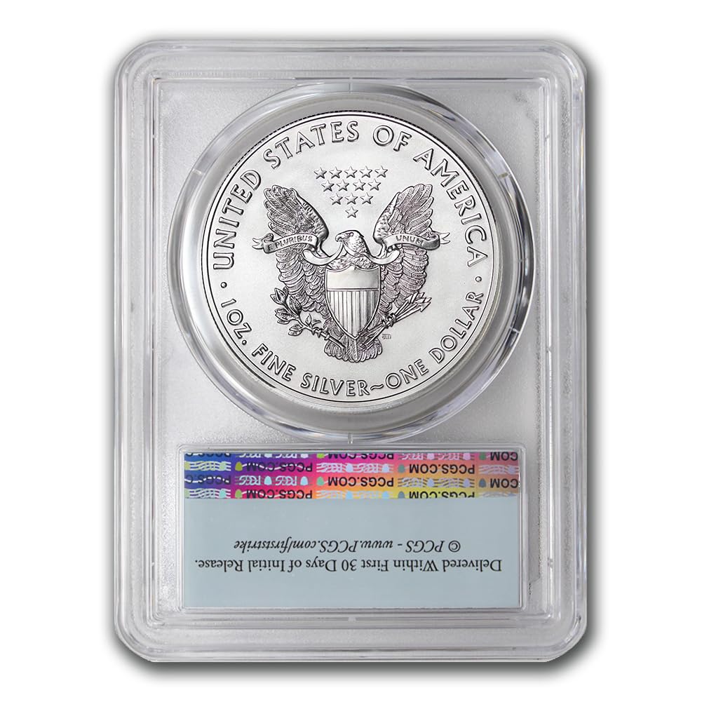 1 oz American Silver Eagle Coin H341
