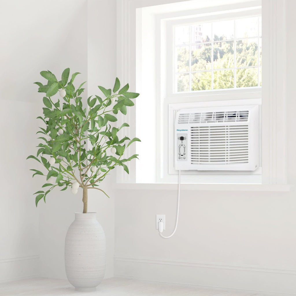 8,000 BTU Window Air Conditioner J3844