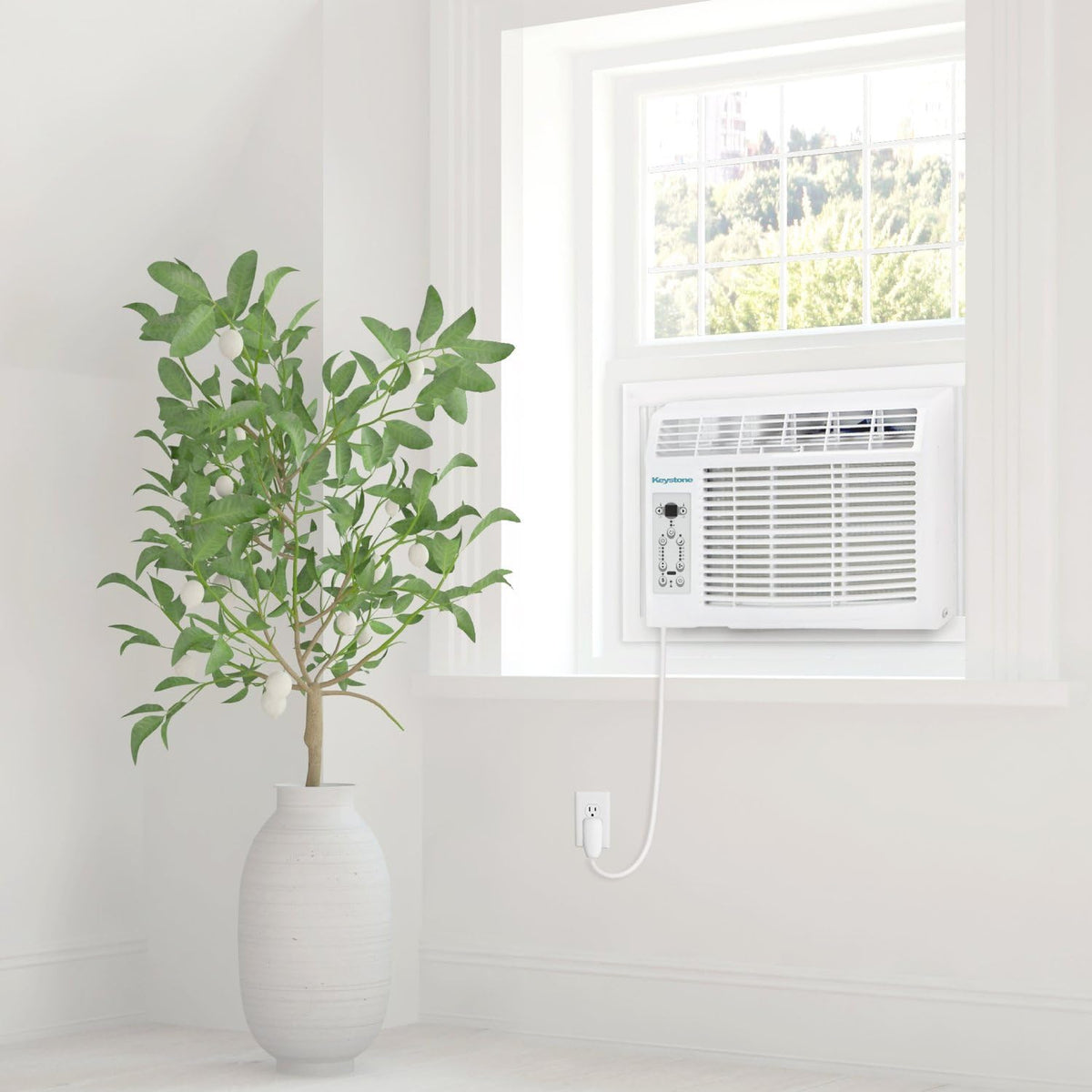 8,000 BTU Window Air Conditioner J3844