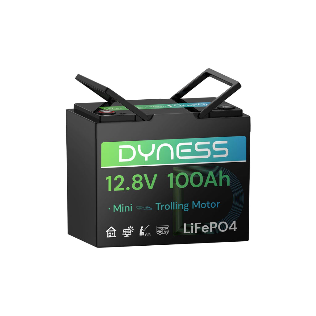 12V 100Ah Mini LiFePO4 Lithium Battery V293