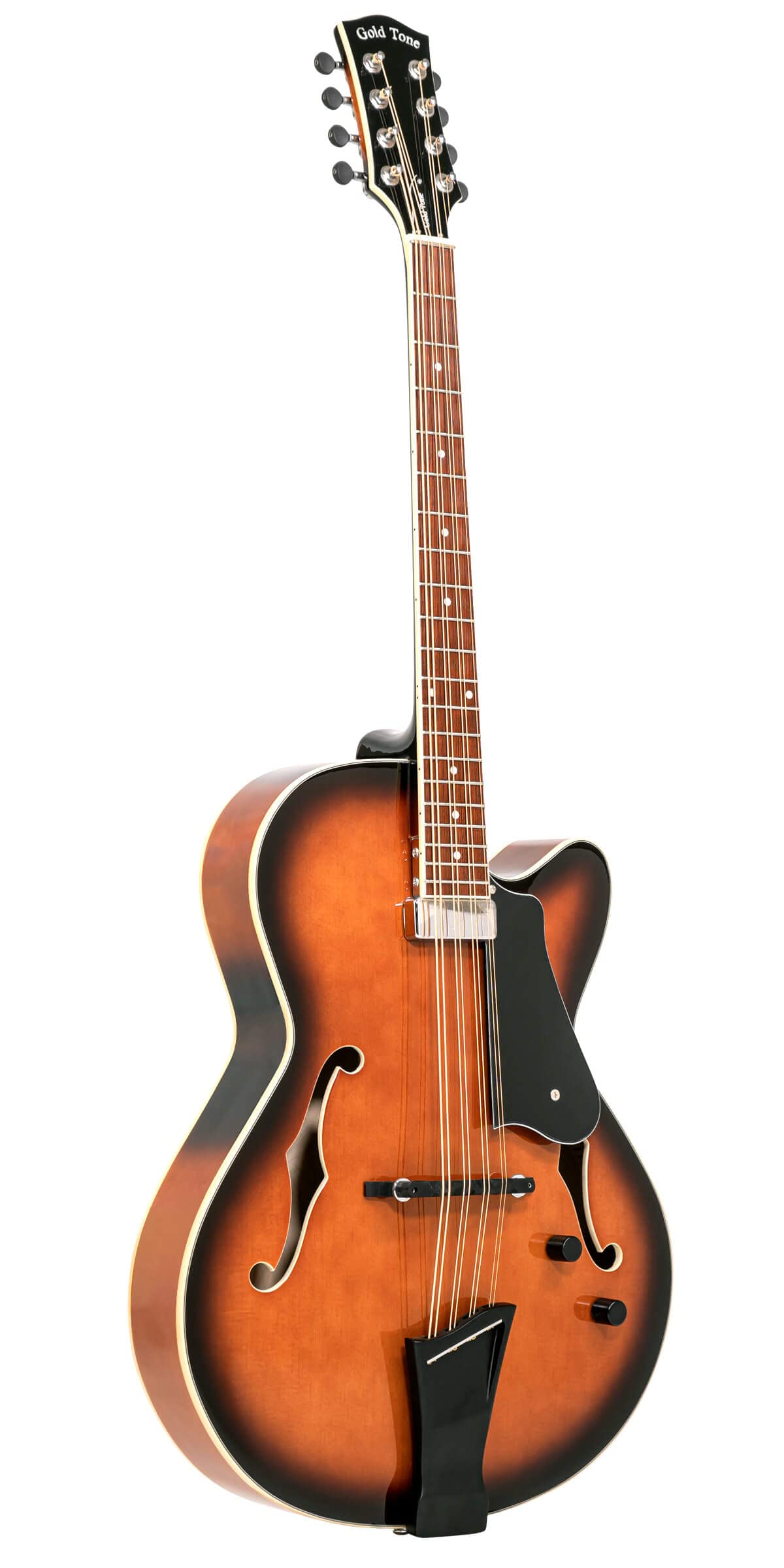 Mandocello with Pickup and Case Q261375