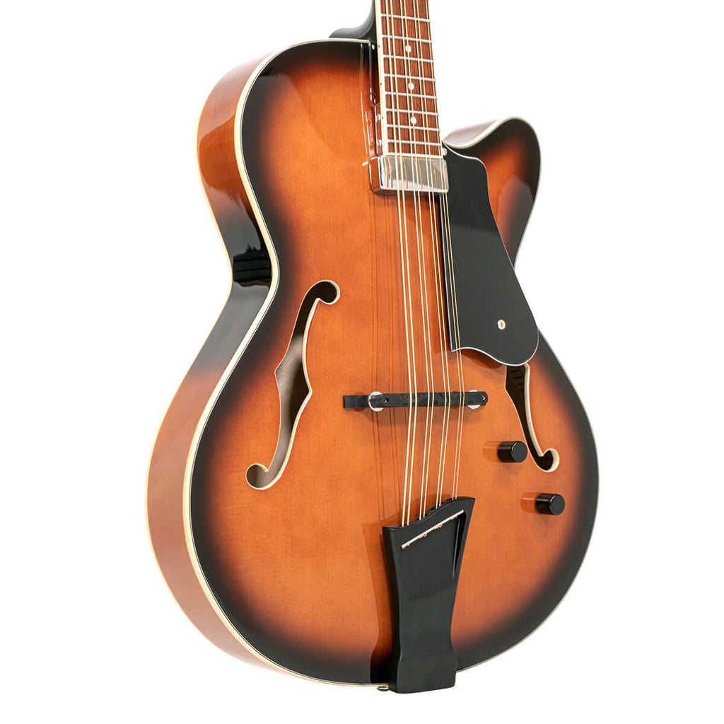 Mandocello with Pickup and Case Q261375