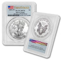 1 oz American Silver Eagle Coin H341