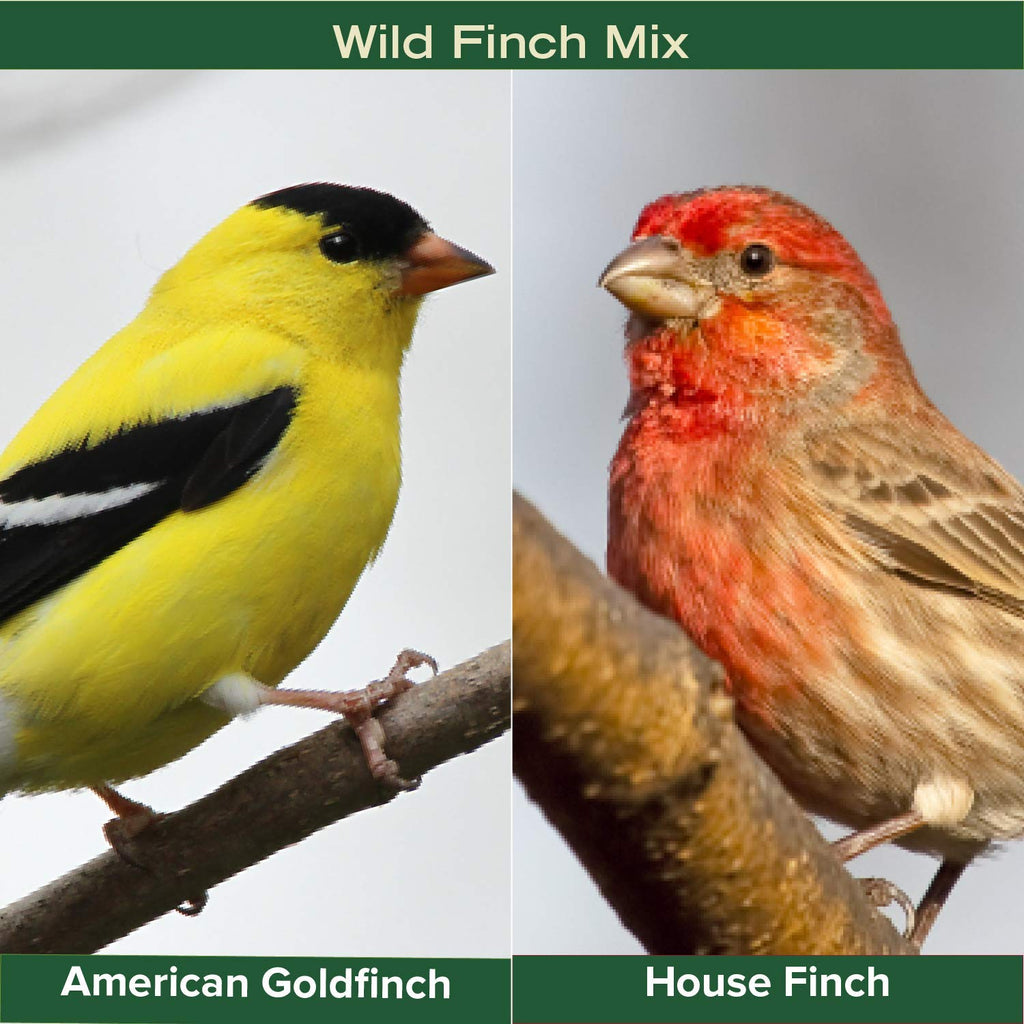 Finch Wild Bird Seed 20lb Bag O9092