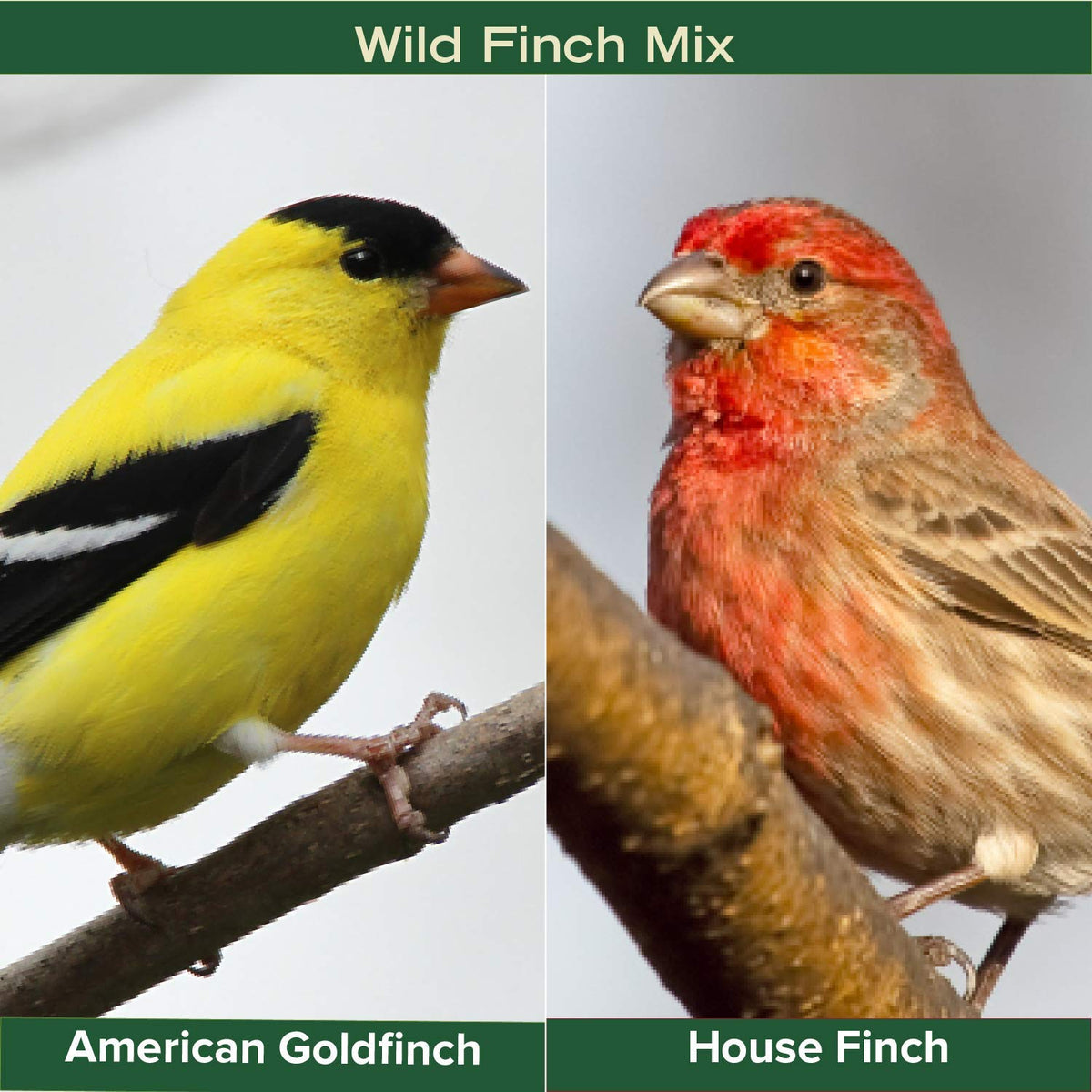 Finch Wild Bird Seed 20lb Bag O9092