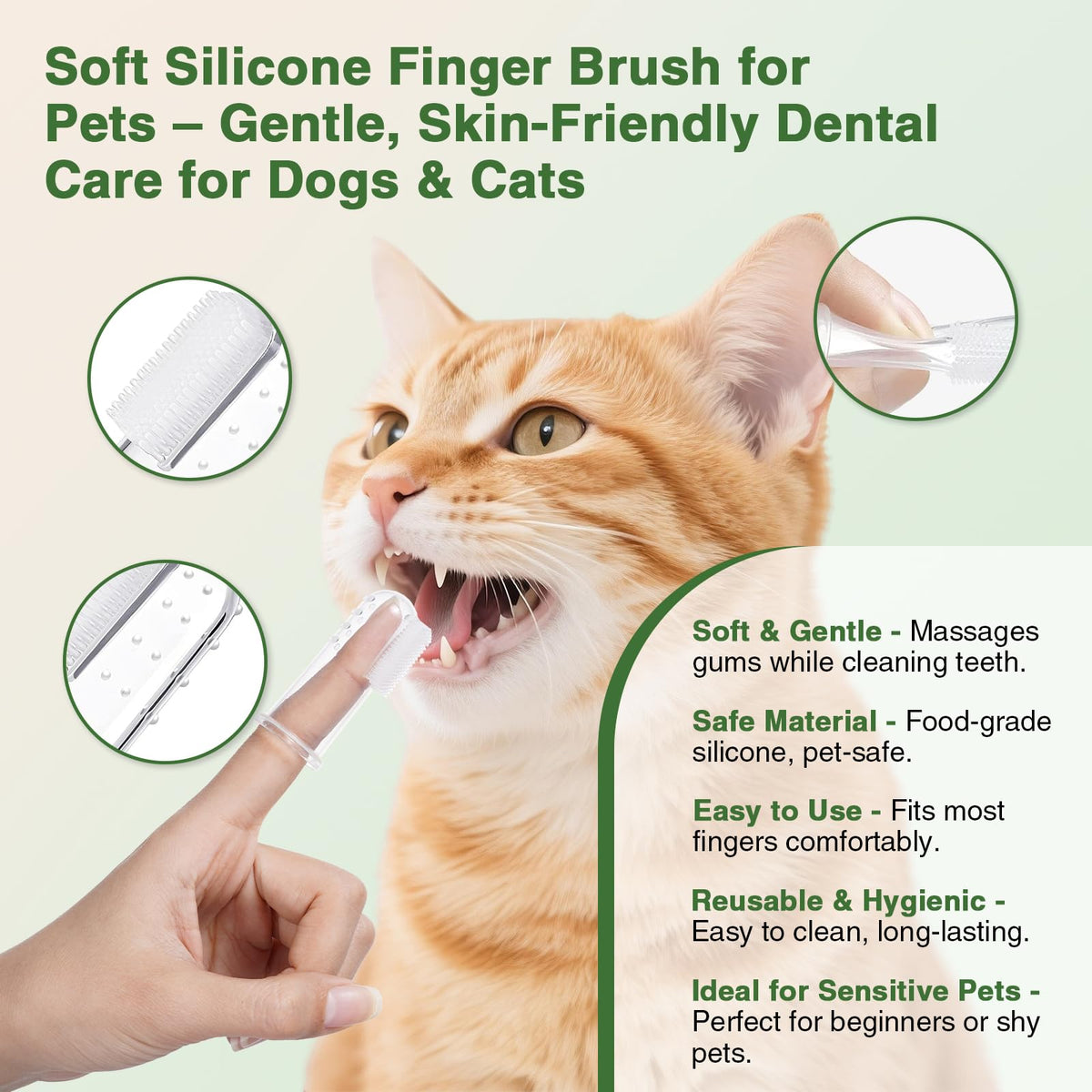 Watermelon Flavor Cat Toothpaste Kit with Finger Brush & Long-Handle Toothbrush W7363