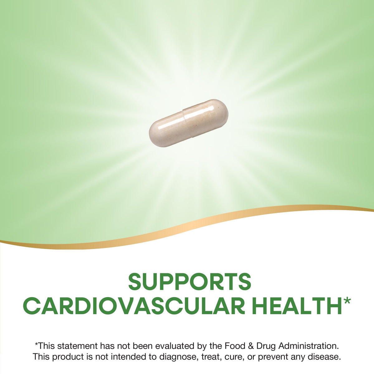 Garlic Bulb Capsules 580mg 100 ct W1037