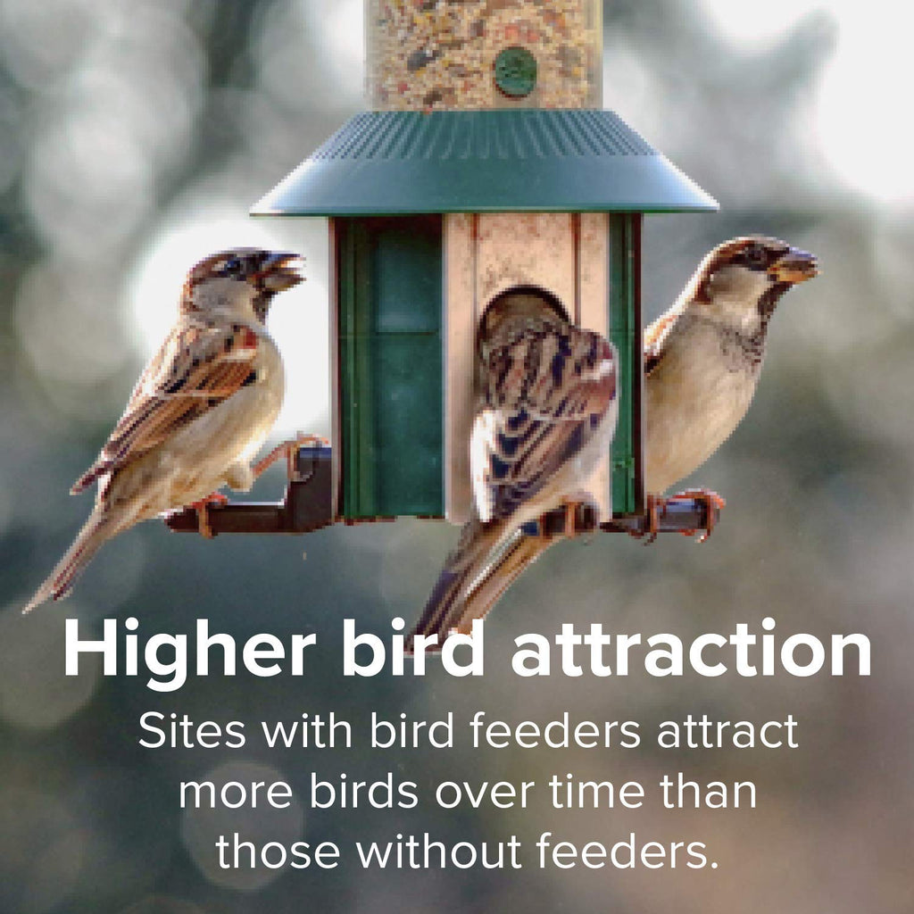 Finch Wild Bird Seed 20lb Bag O9092