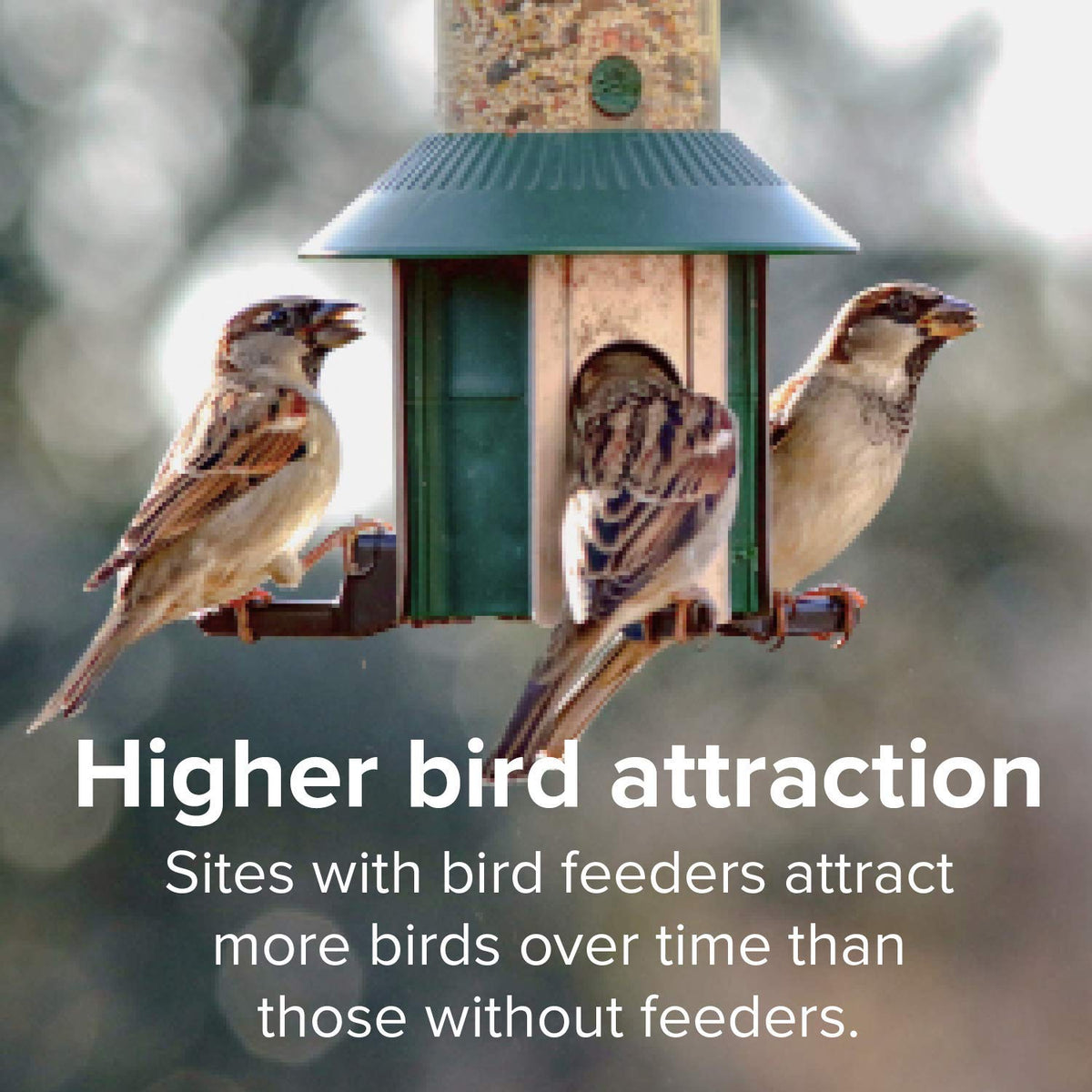 Finch Wild Bird Seed 20lb Bag O9092