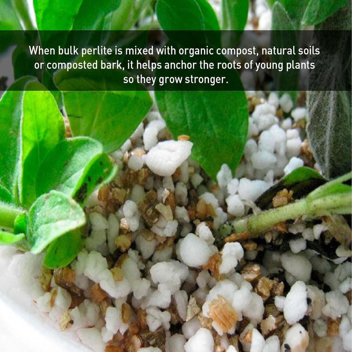 Perlite Horticultural Medium Grade Soil Additive 4 Cubic Feet 1 Bag J7896