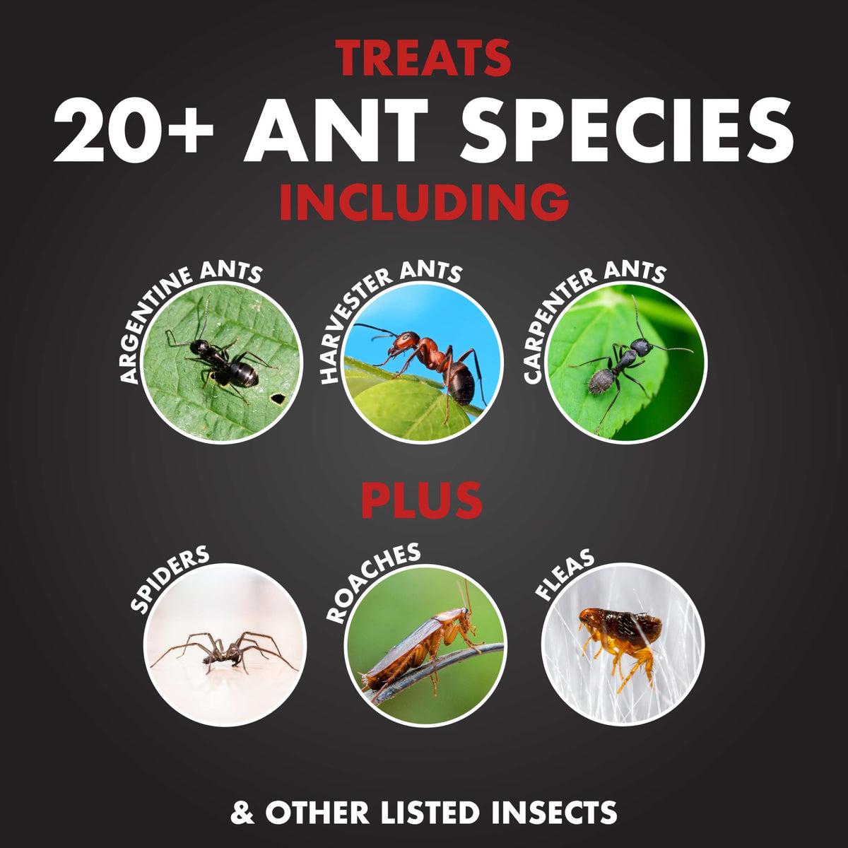 Ant Killer Ready-to-Use 1 Gal V753409