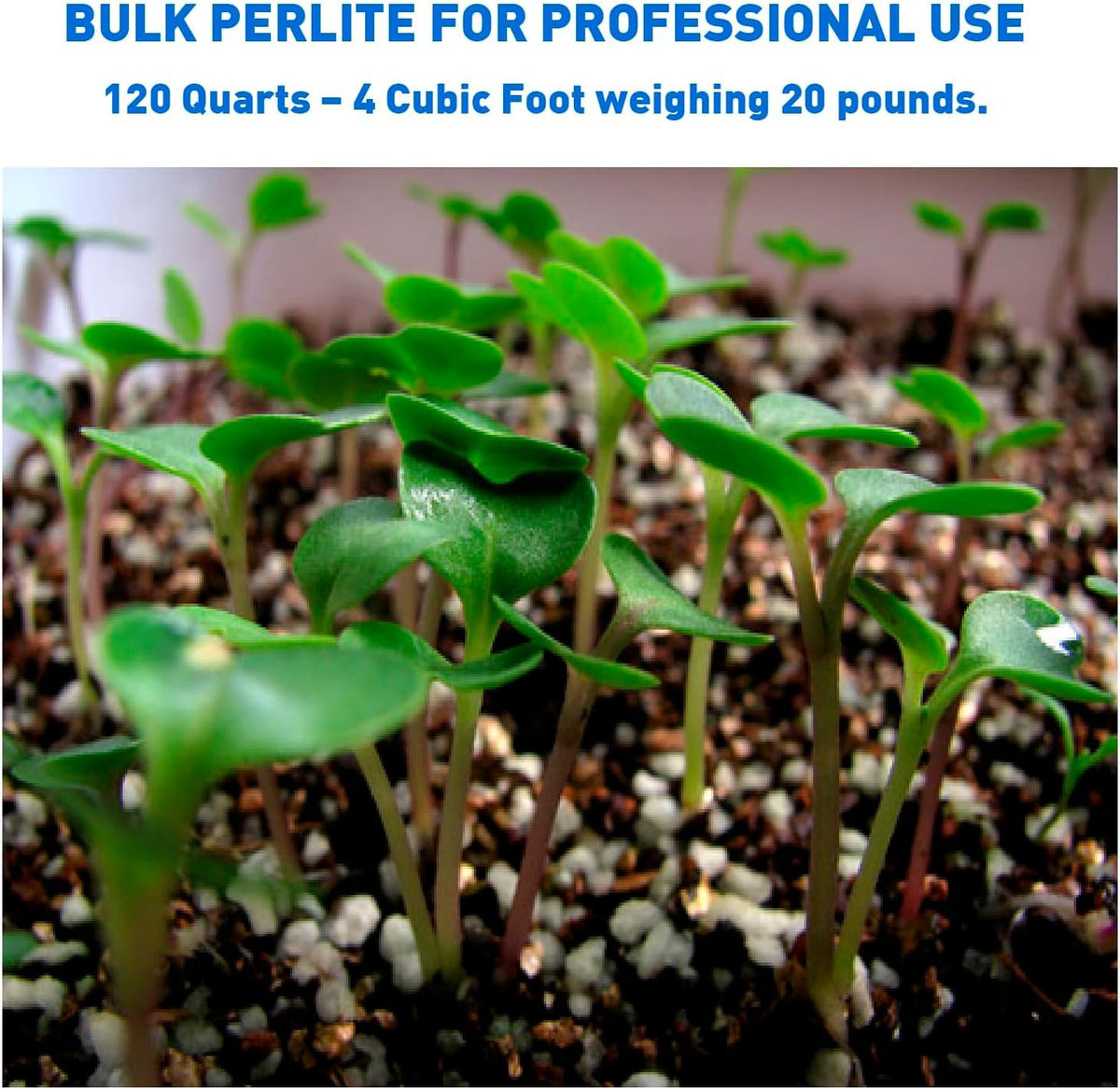 Perlite Horticultural Medium Grade Soil Additive 4 Cubic Feet 1 Bag J7896