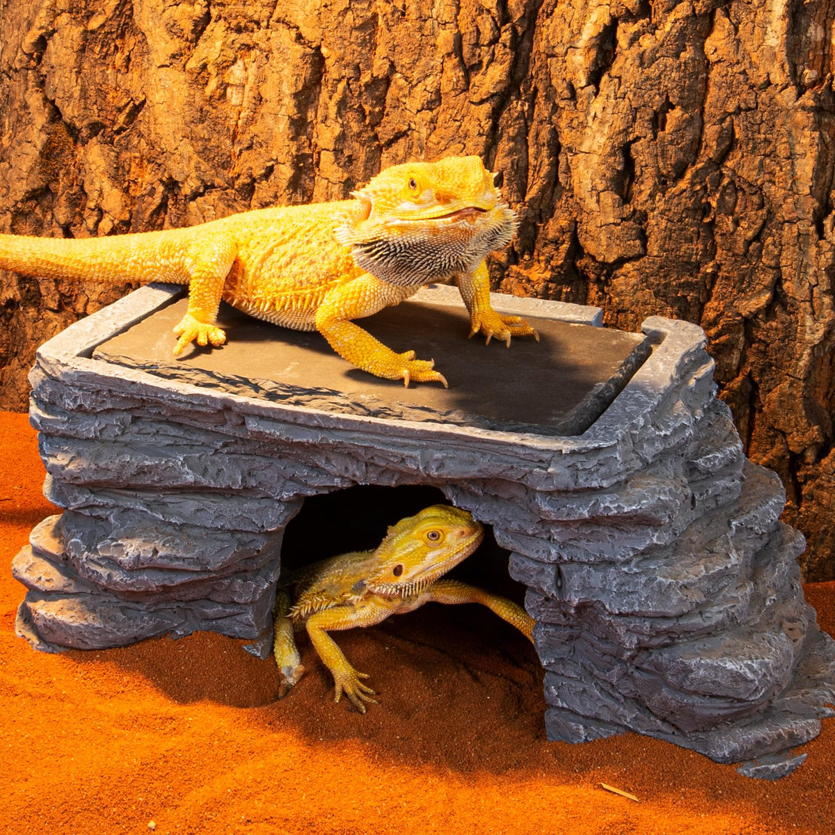 UVB Reptile Light with Basking Platform Combo Kit W2118