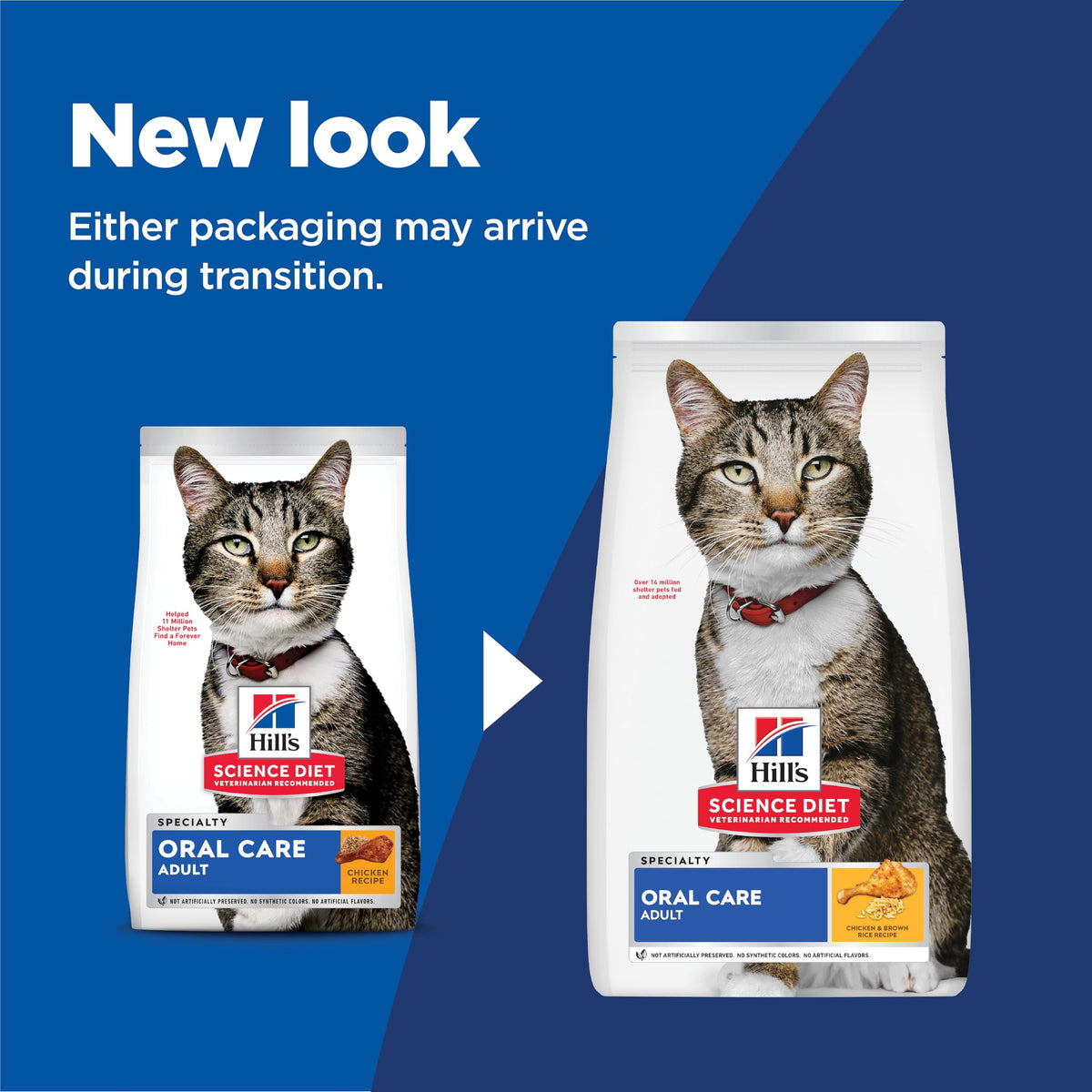Adult Oral Care Dry Cat Food Z86380