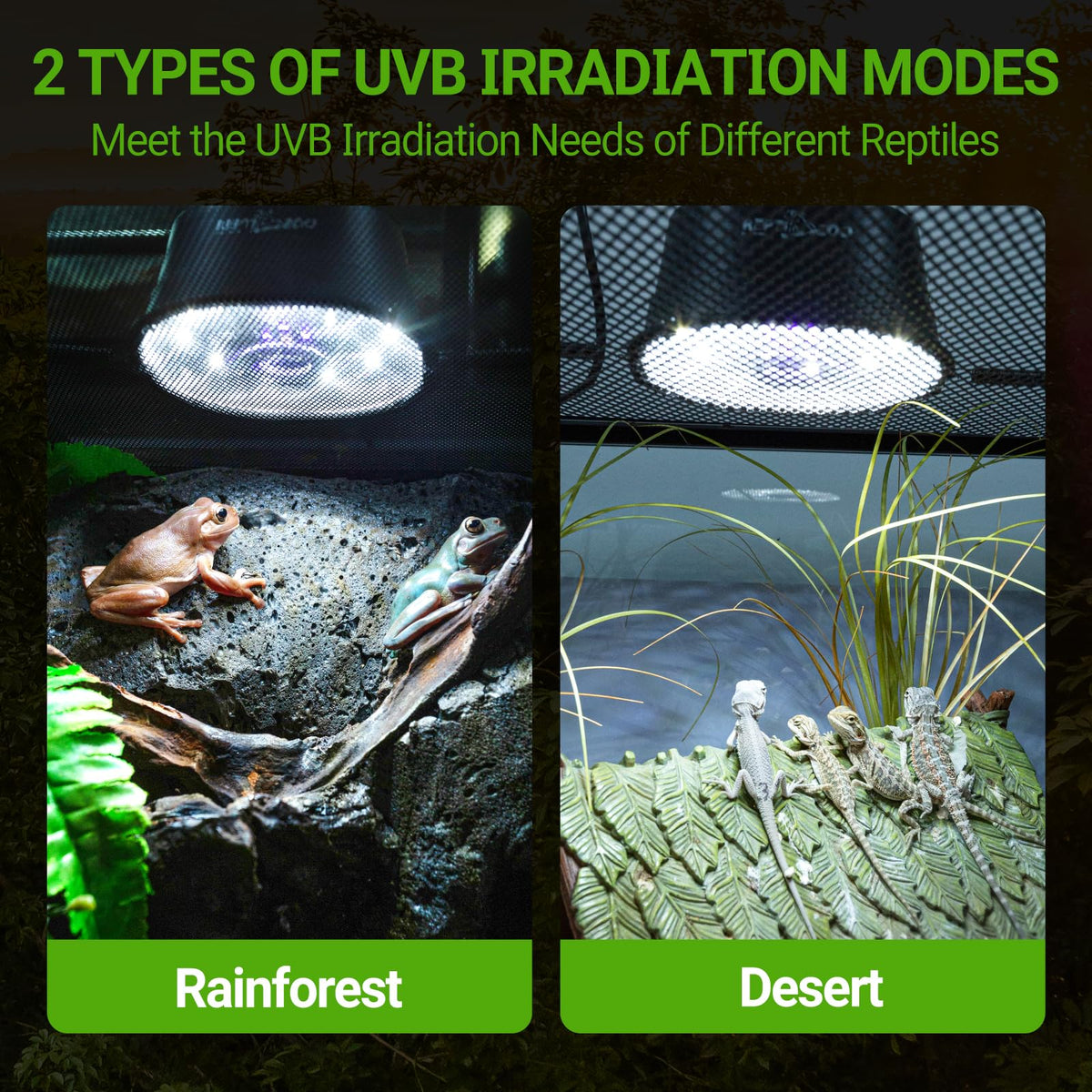 UVB Reptile Light with Basking Platform Combo Kit W2118