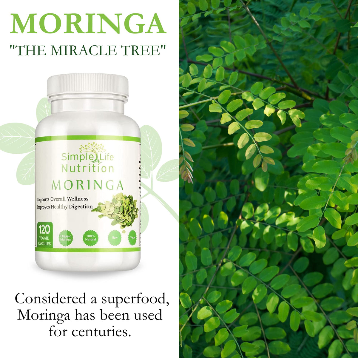 Organic Moringa Powder Capsules X70336