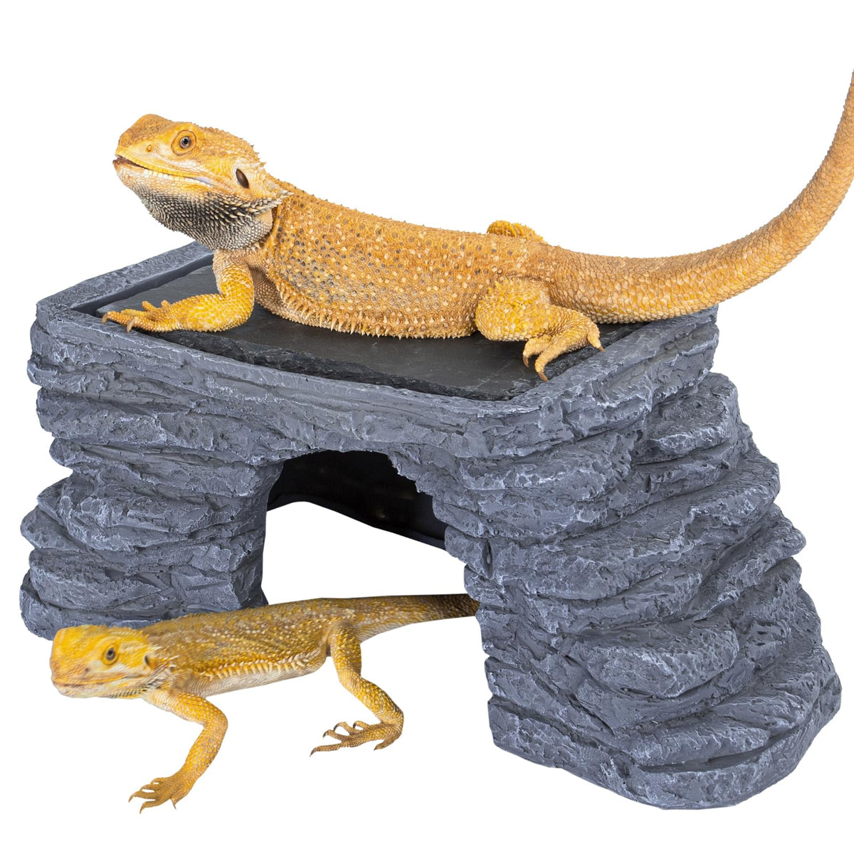 UVB Reptile Light with Basking Platform Combo Kit W2118