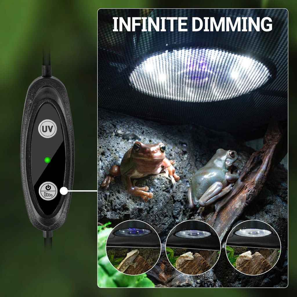 UVB Reptile Light with Basking Platform Combo Kit W2118