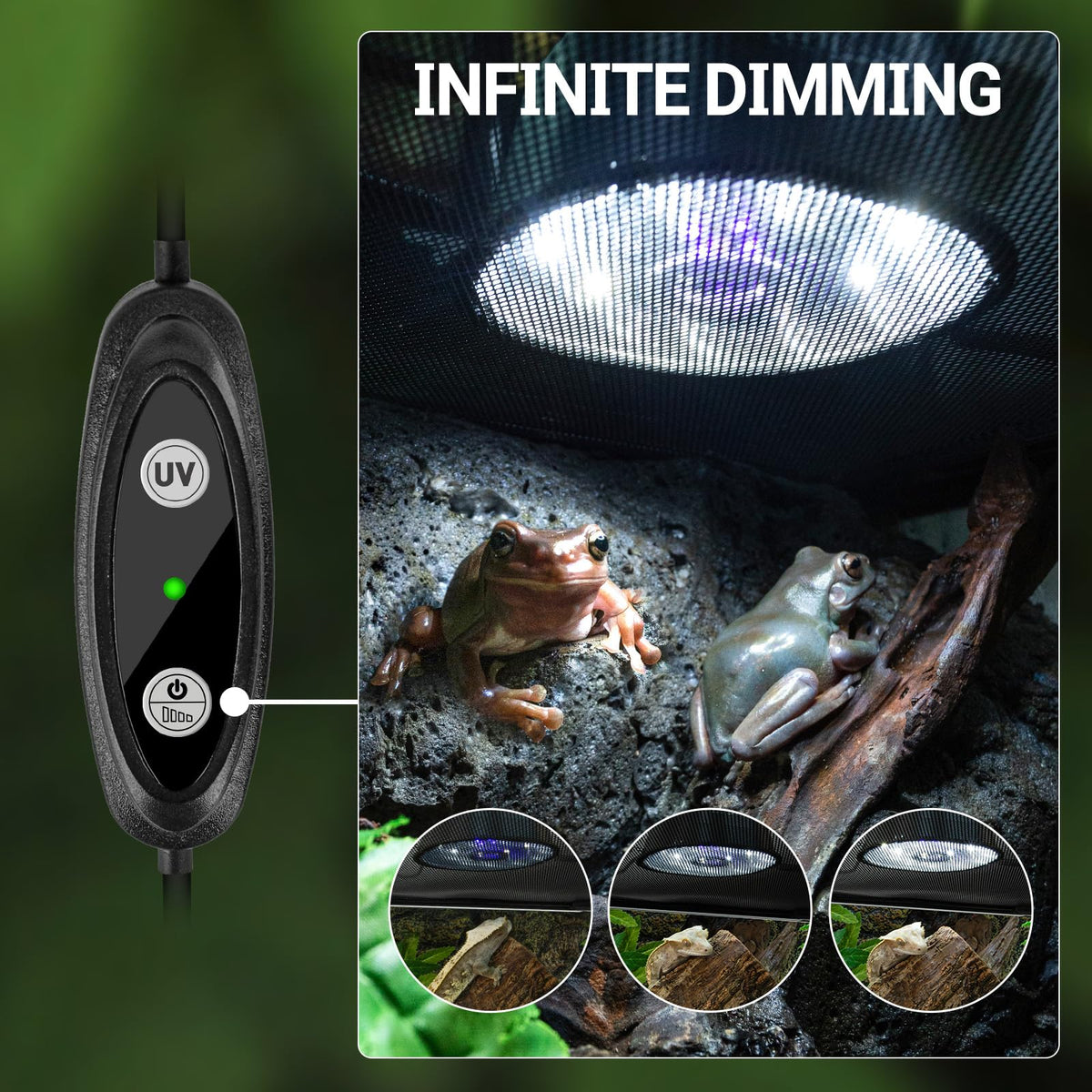 UVB Reptile Light with Basking Platform Combo Kit W2118