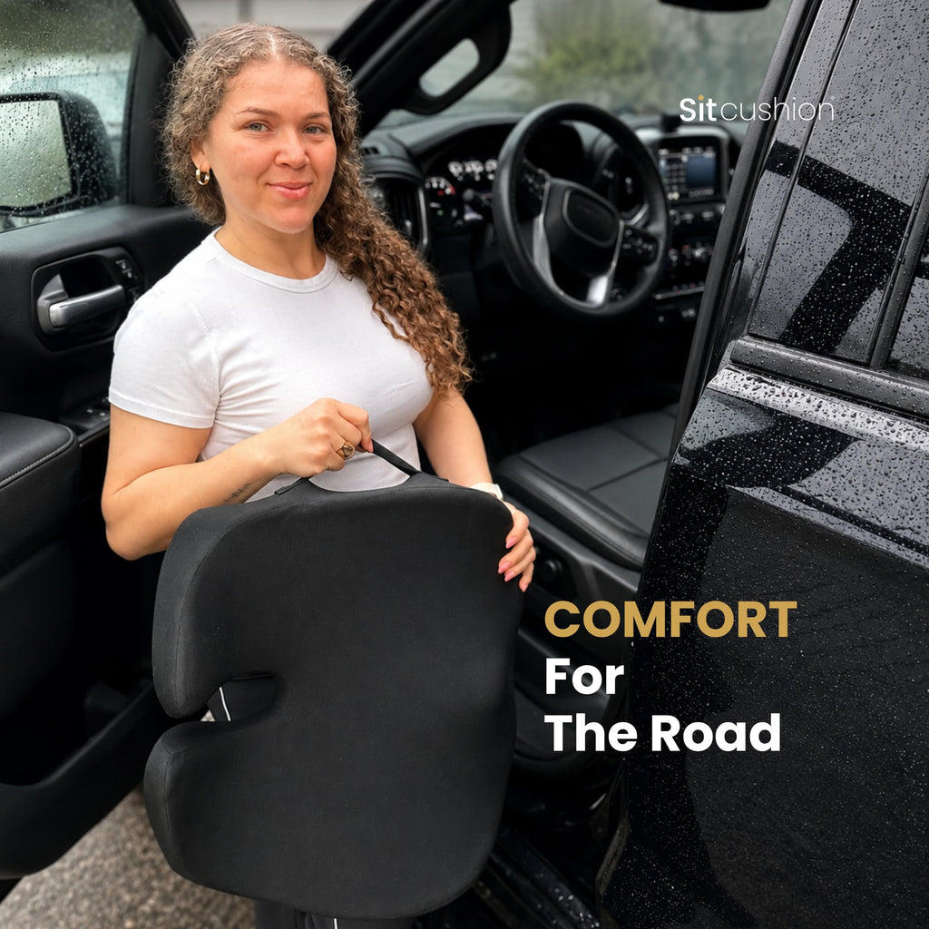Car Seat Cushion and Seat Pad H8899