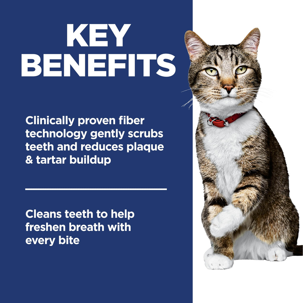 Adult Oral Care Dry Cat Food Z86380