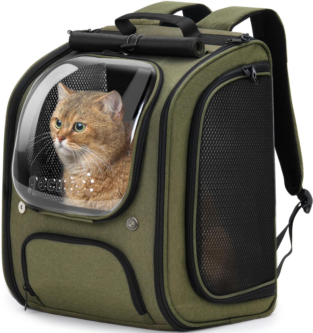 Green Cat Backpack Carrier G796076