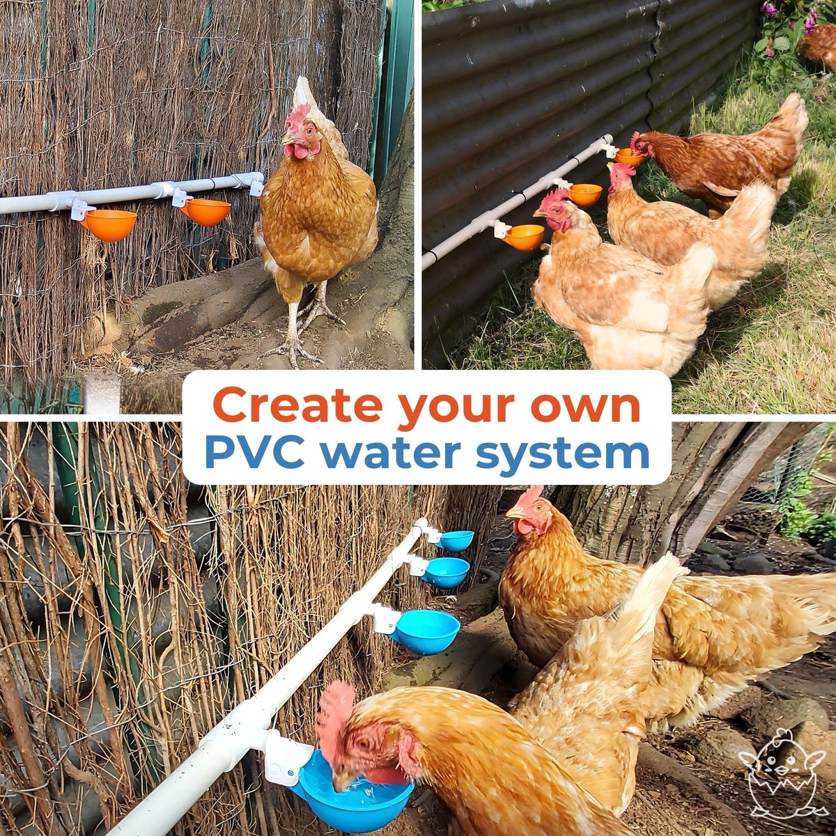 Large Automatic Chicken Waterer Cups with 1/2" PVC Tee Fittings 5-Pack O790