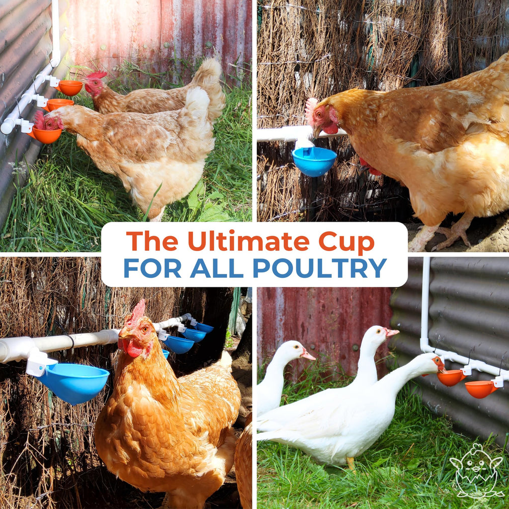 Large Automatic Chicken Waterer Cups with 1/2" PVC Tee Fittings 5-Pack O790